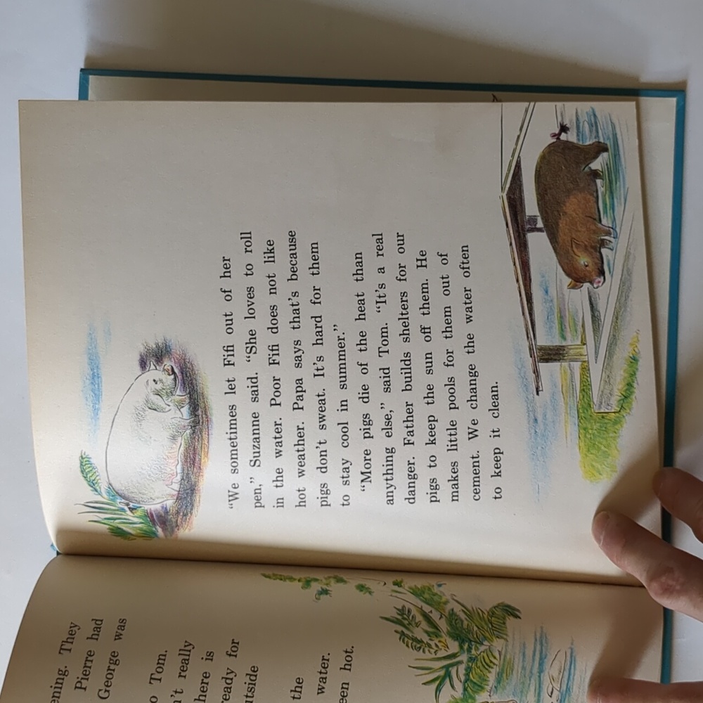 A Pig for Tom - 1963 children's book - Picture 11 of 14